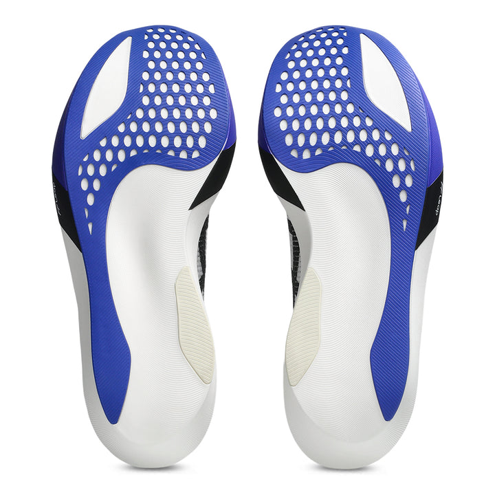 Asics Metaspeed Sky Tokyo – BlackToe Running Inc.