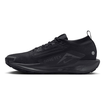 Nike Men's Pegasus Trail 5 GORE-TEX - BlackToe Running#colour_black-anthracite