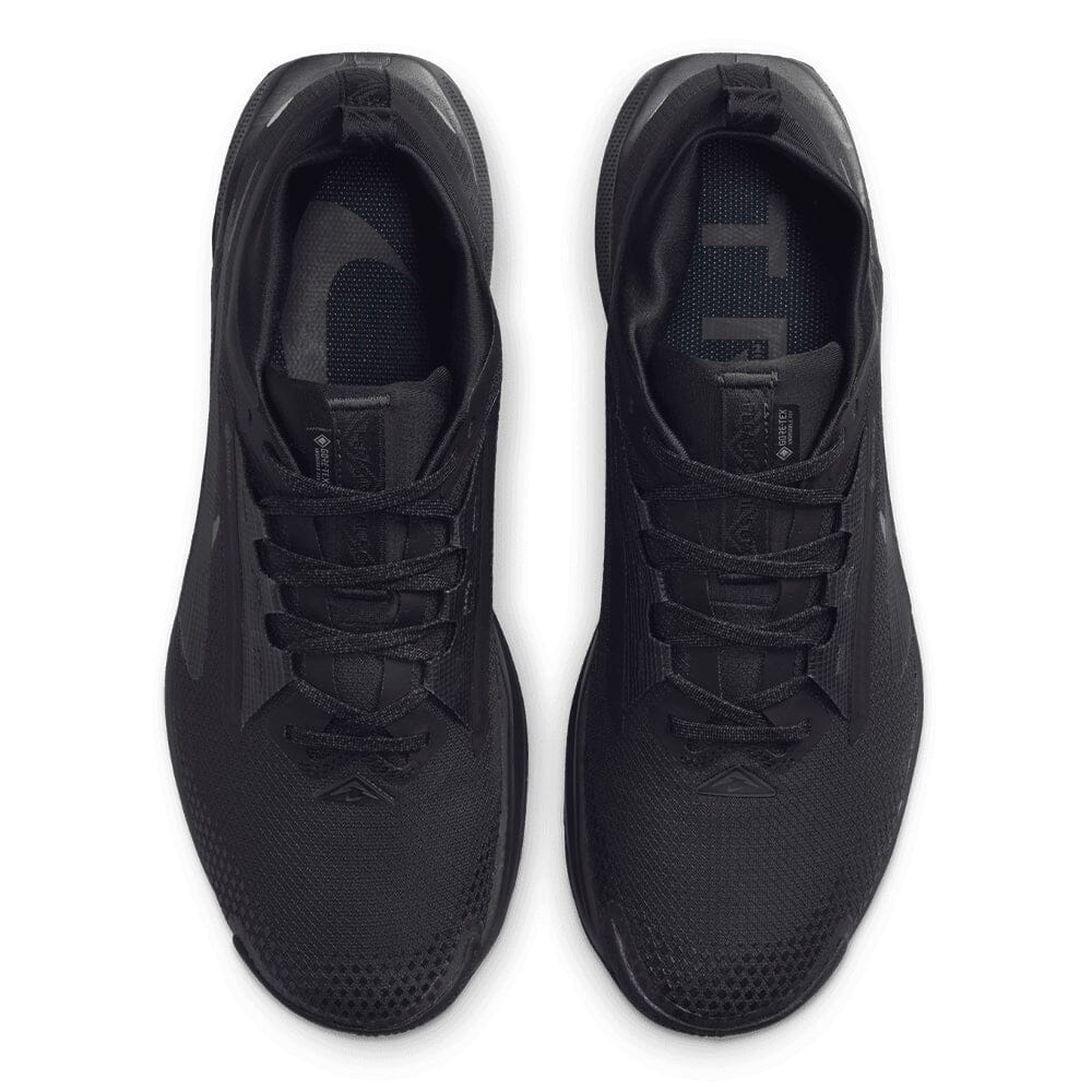 Nike Men's Pegasus Trail 5 GORE-TEX - BlackToe Running#colour_black-anthracite