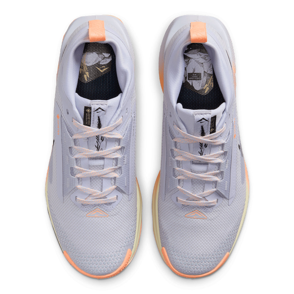 Nike Women's Pegasus Trail 5 GORE-TEX - BlackToe Running