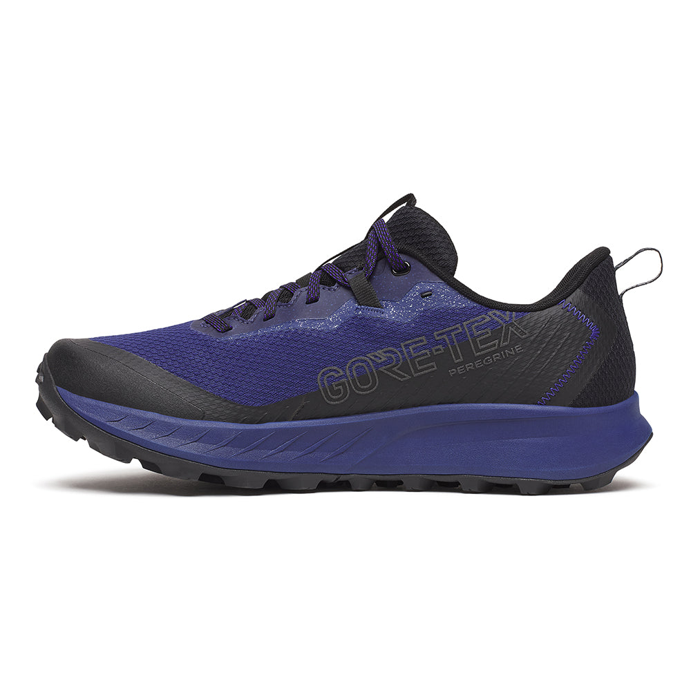 Saucony Men's Peregrine 15 GTX - BlackToe Running#colour_regal-black